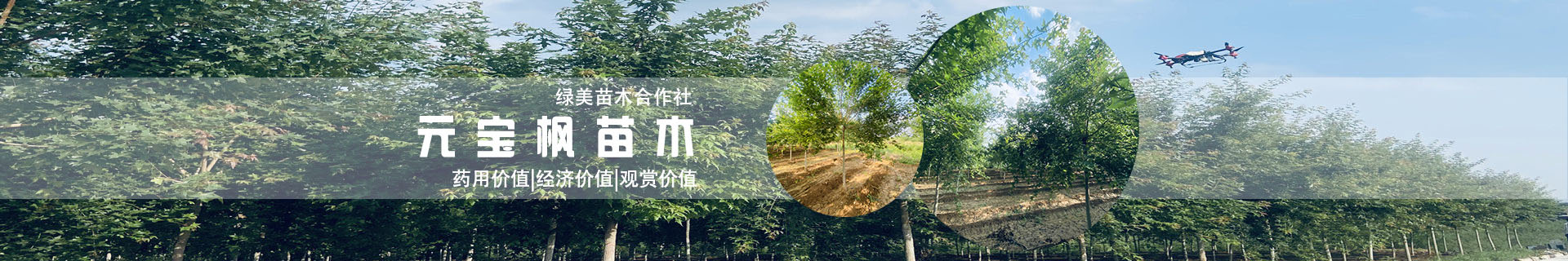 新聞動態(tài) 新聞動態(tài)